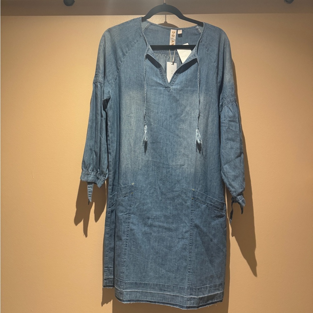 Dolan denim dress